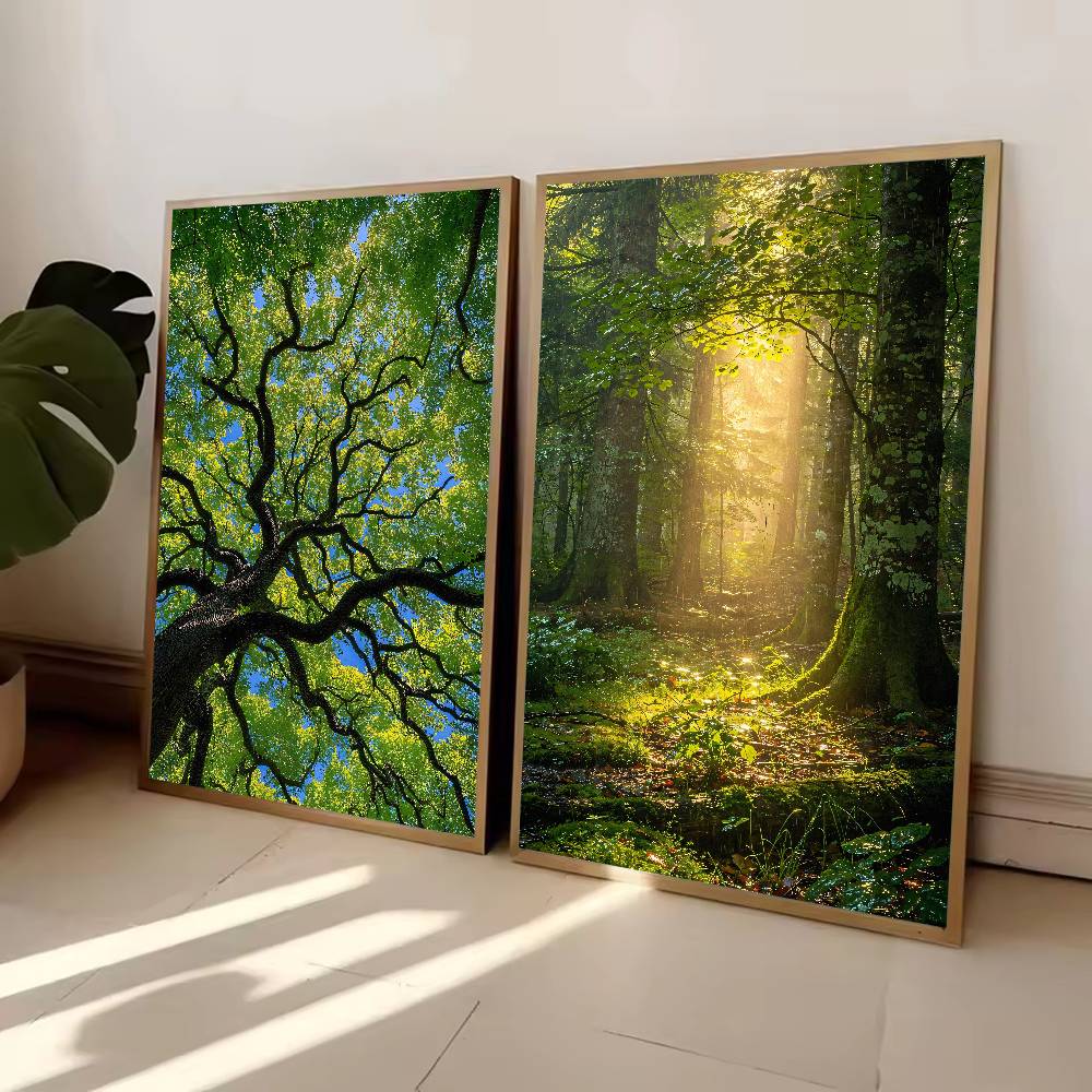 Affiche de la nature forestièr - Wall Decor Lighting Tree avis et prix